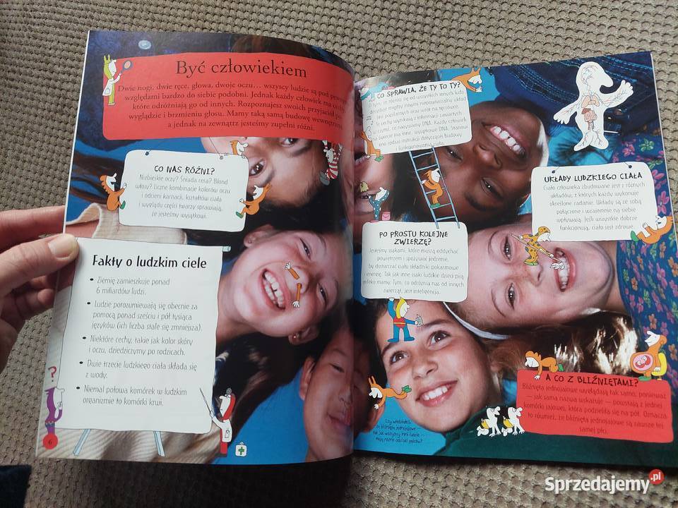 National Geographic Małe Mózgofalki poznają Kraków