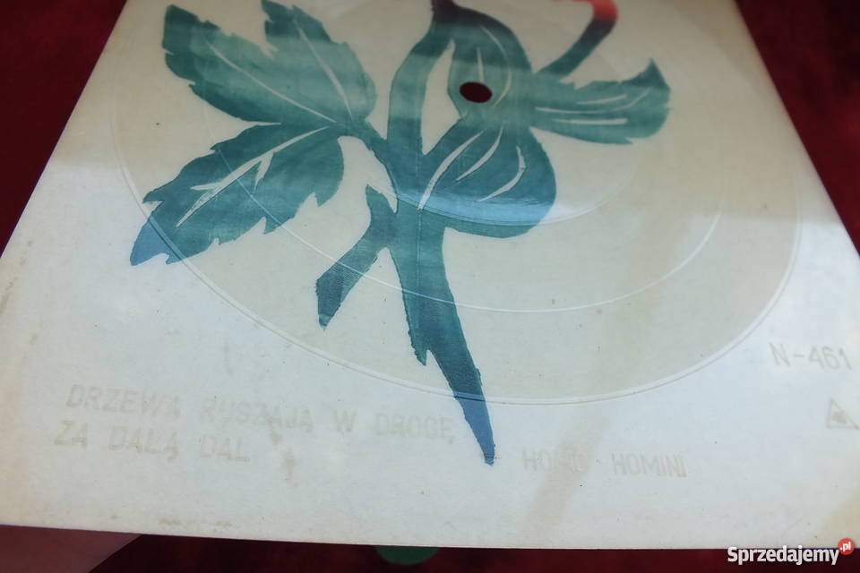 Stara pocztówka dźwiękowa HomoHomini