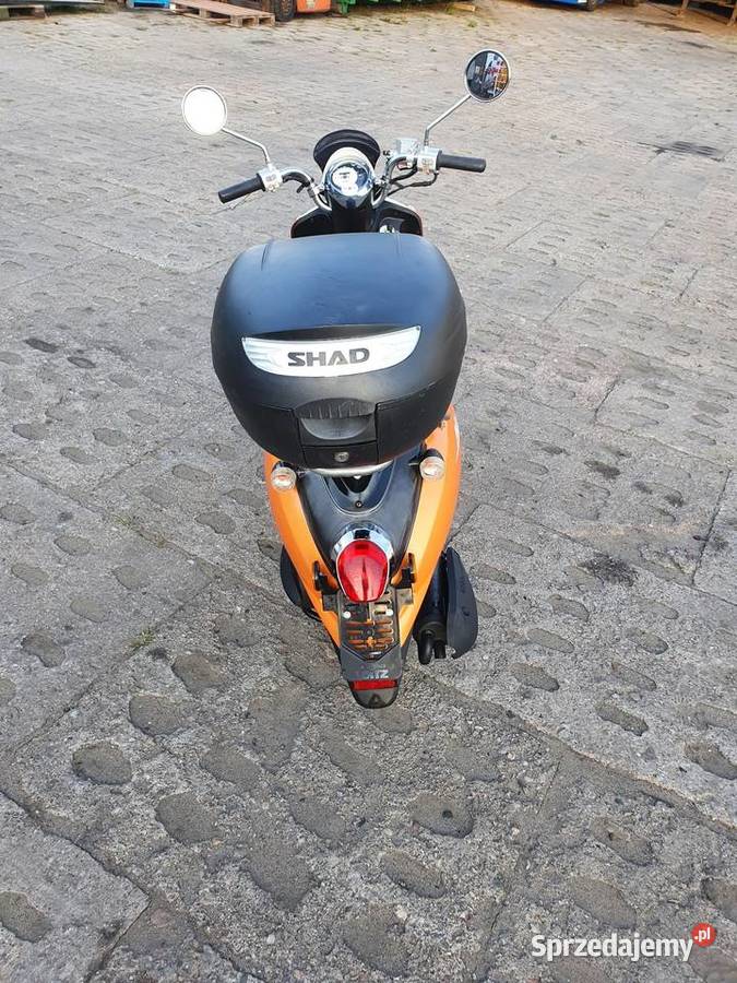SYM Mio 50 Pniewo
