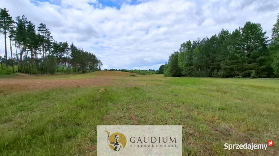 DUŻA DZIAŁKA ROLNA Z LASEM MĘCIKAŁ gm Brusy Męcikał