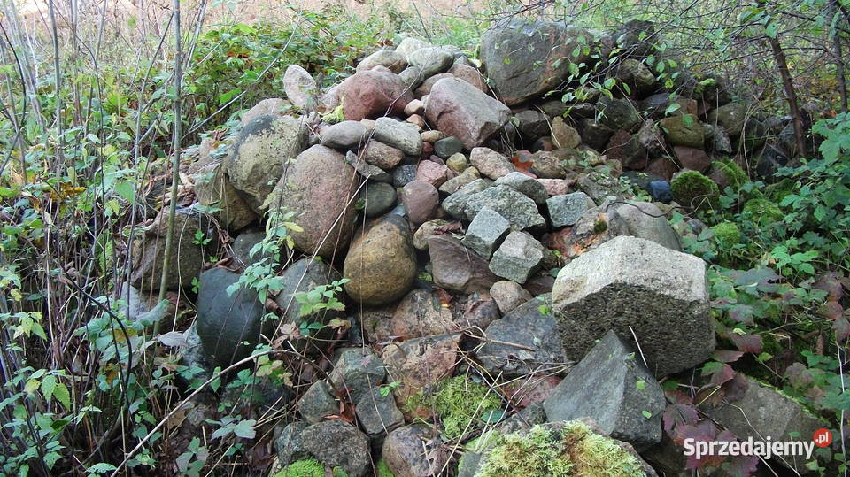 kamień otoczaik wszystkie kolory Skubianka