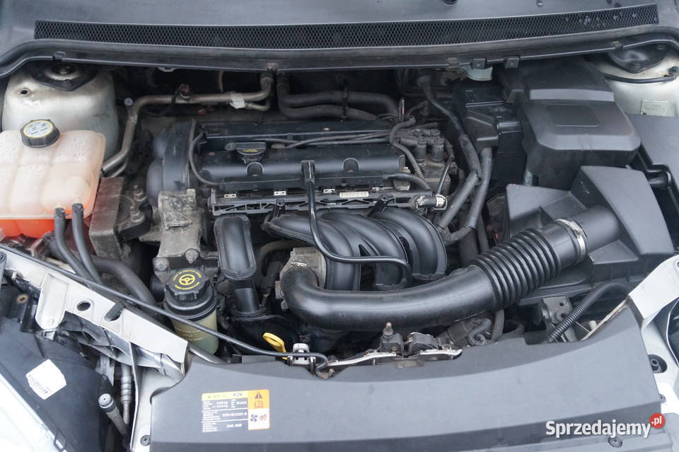 14 benzyna zarejestrowany stan Rok produkcji 2006 Focus Częstochowa sprzedam