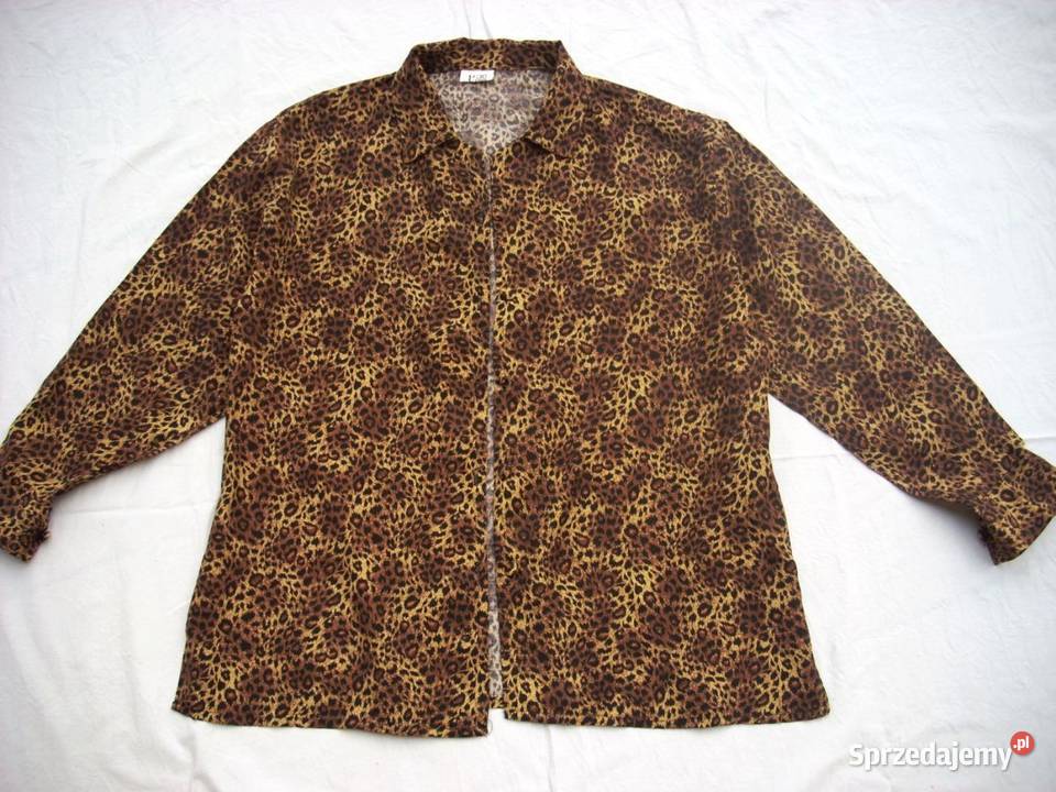 Koszula Panterka Bawełna J Nowa 42 44 Bluzki i koszule małopolskie Nowy Sącz