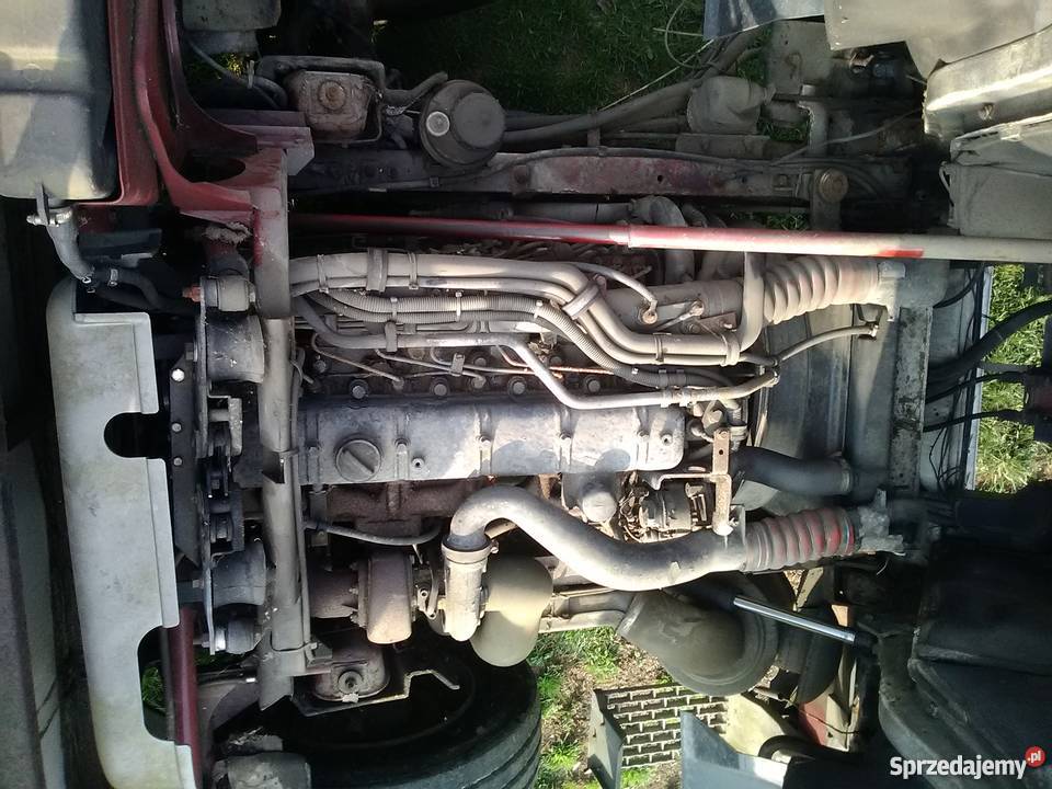 silnik renault midliner Pozostałe Jordanów
