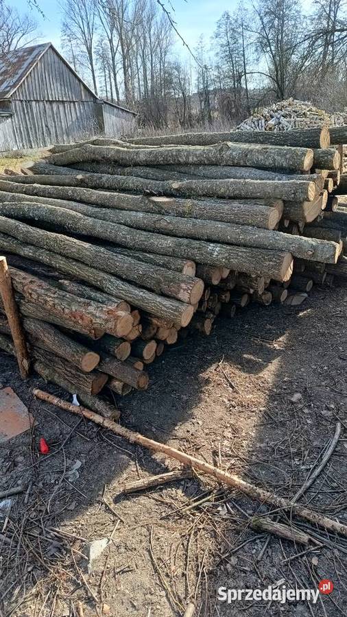 Kołki słupki ogrodzeniowe sosnadąb