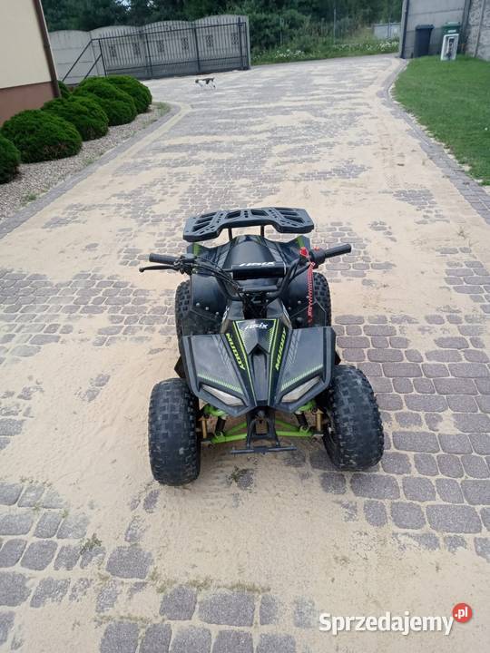 Asix 110 Pozostałe Żarki
