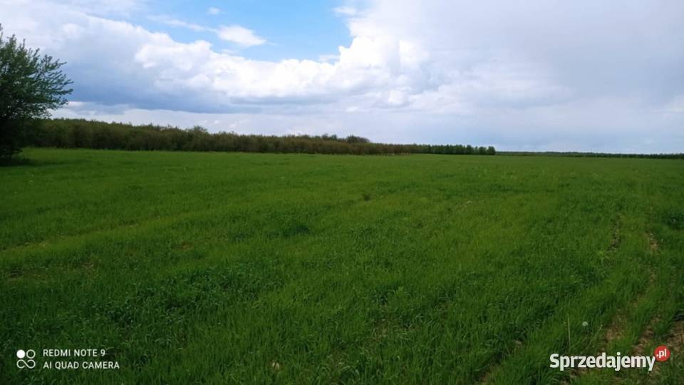 Działka rolna 244ha Sienno