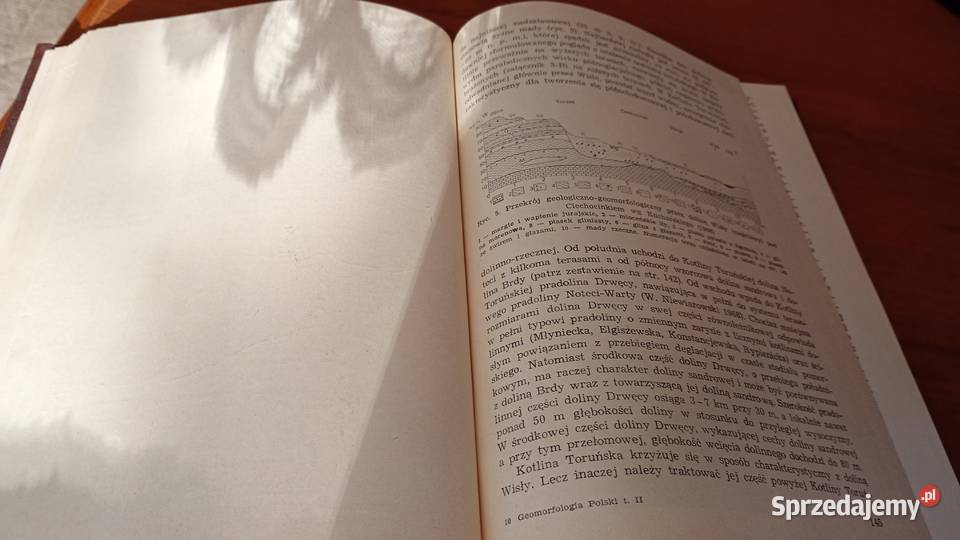 Geomorfologia Polski T 2 Niż Polski Rajmund studia Gdańsk