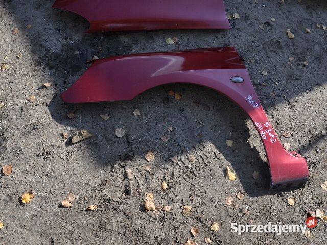 peugeot 307 błotnik kolor EKQD 5382 WYSYŁKA Żory