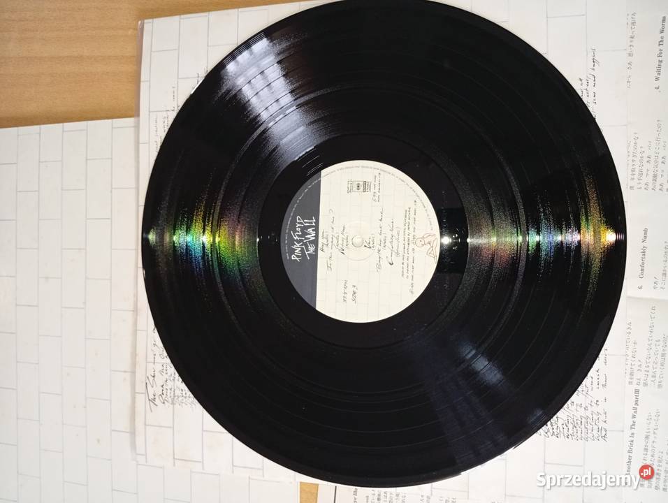 Pink Floyd The Wall Japan Press Rumia
