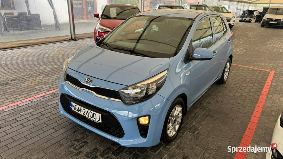 Kia Picanto Kia Picanto Automat III 2017 lakier metallic Zduńska Wola