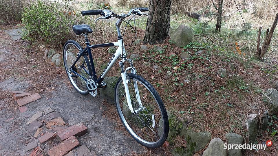 Alu Rower Miejski Cross Diamondback Edgewood 3x7 Wołów sprzedam