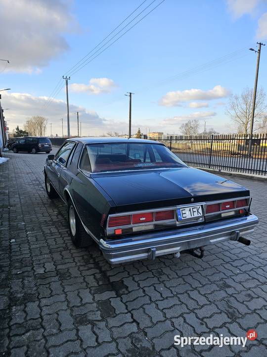 Chevrolet Capric Coupe 1979 5700 V8 5700cm3 łódzkie Kutno