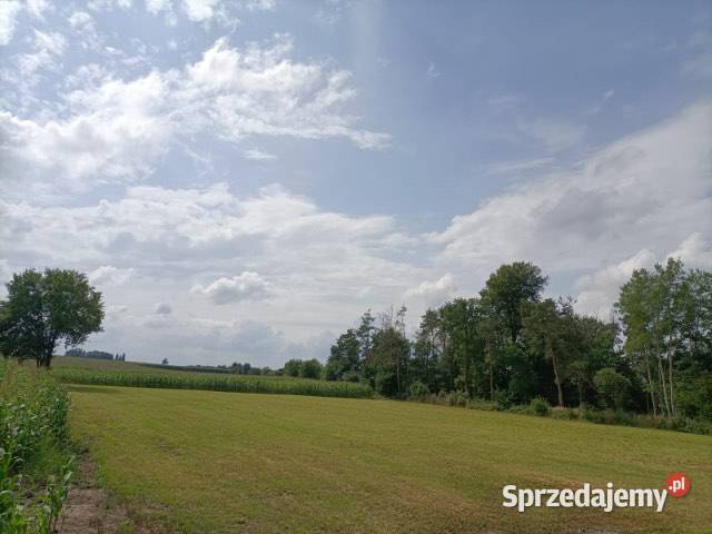 Działka rolna z warunkami zabudowy Wola Branicka 5010m2