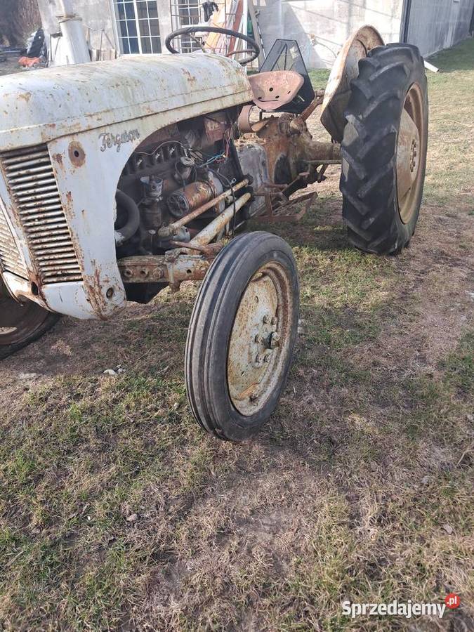 2 Ferguson TEA Gniewkowo