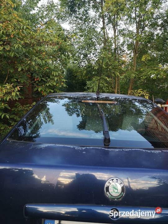 Skoda Octavia świętokrzyskie Świniary