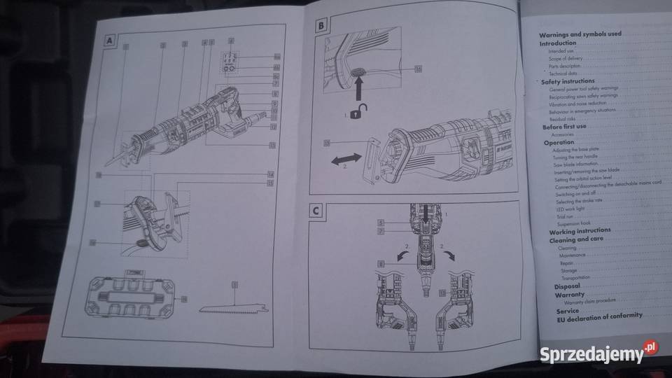 Piła szablasta Płońsk