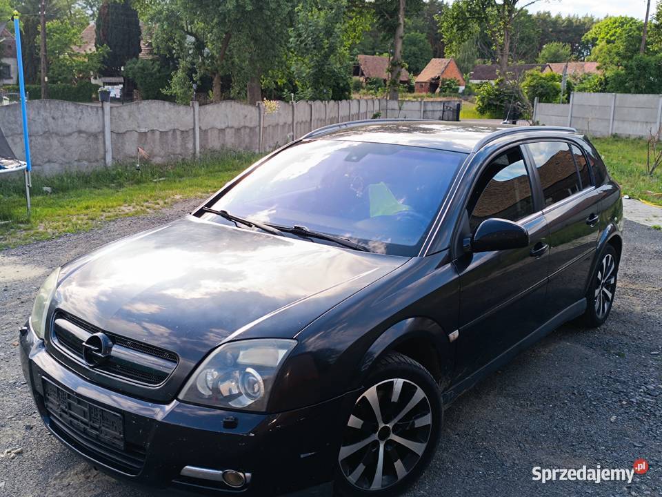 Opel Signum 30 V6 CDTI 177 2005 r Bogata Wersja Trzebiel