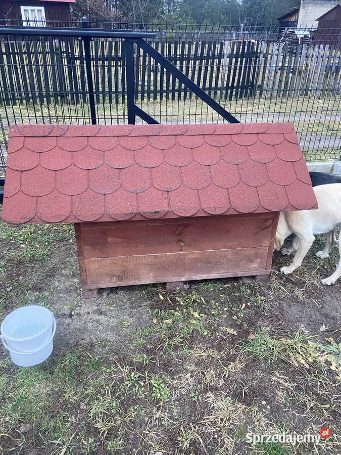 buda psa Głogów Małopolski