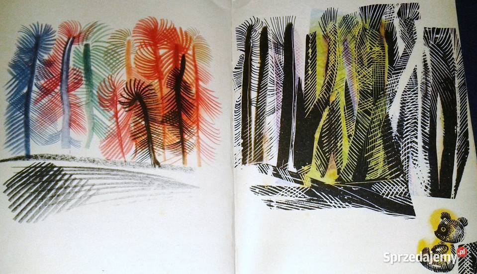 Pamiętnik Czarnego Noska Janina Porazińska Adam Chełm