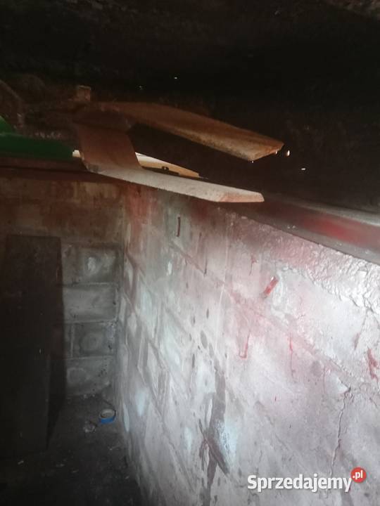 Kosiarka sadownicza Rotosan bijakowa 155 nieuszkodzony Łagów sprzedam