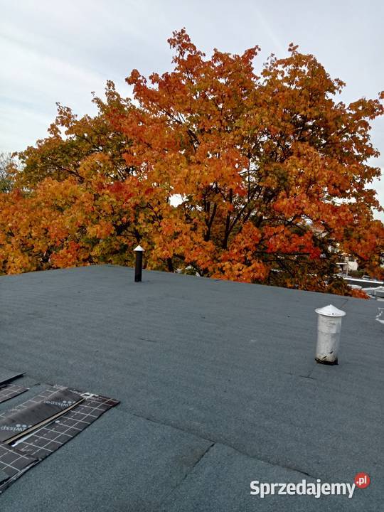 Dachy w papie termozgrzewalnej Kraków