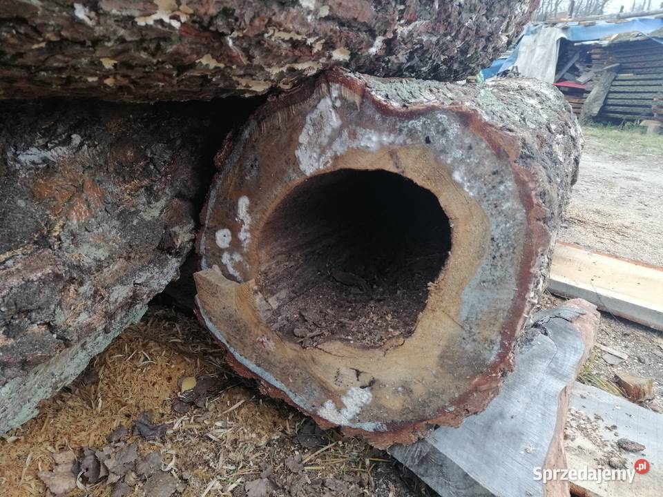 Stolik kawowy blat loft stół plaster dąb 1 metr