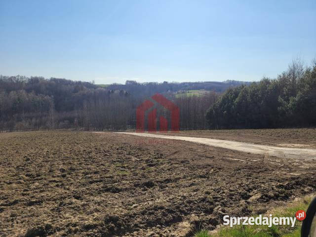 Działka Zagórze 1000m2 Sprzedaż
