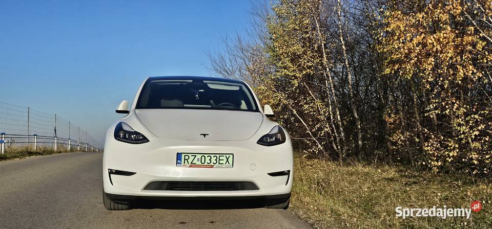 TESLA Y PERFORMANCE