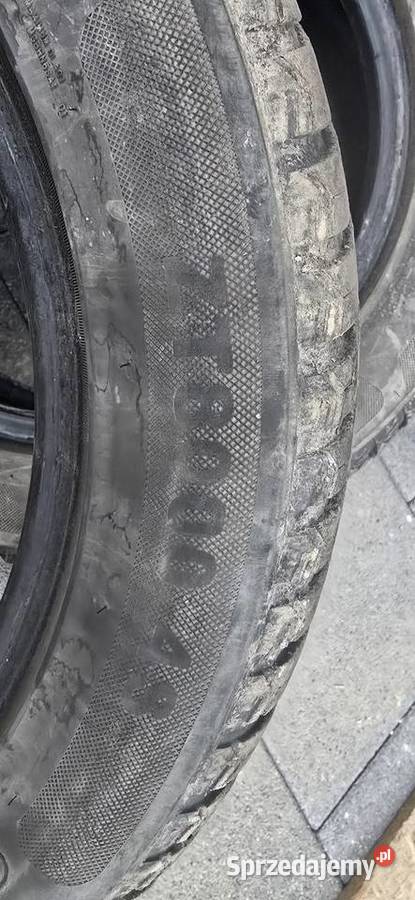 Opony Zetex 1955515 całoroczne 15cale Motoryzacja Tarnowskie Góry