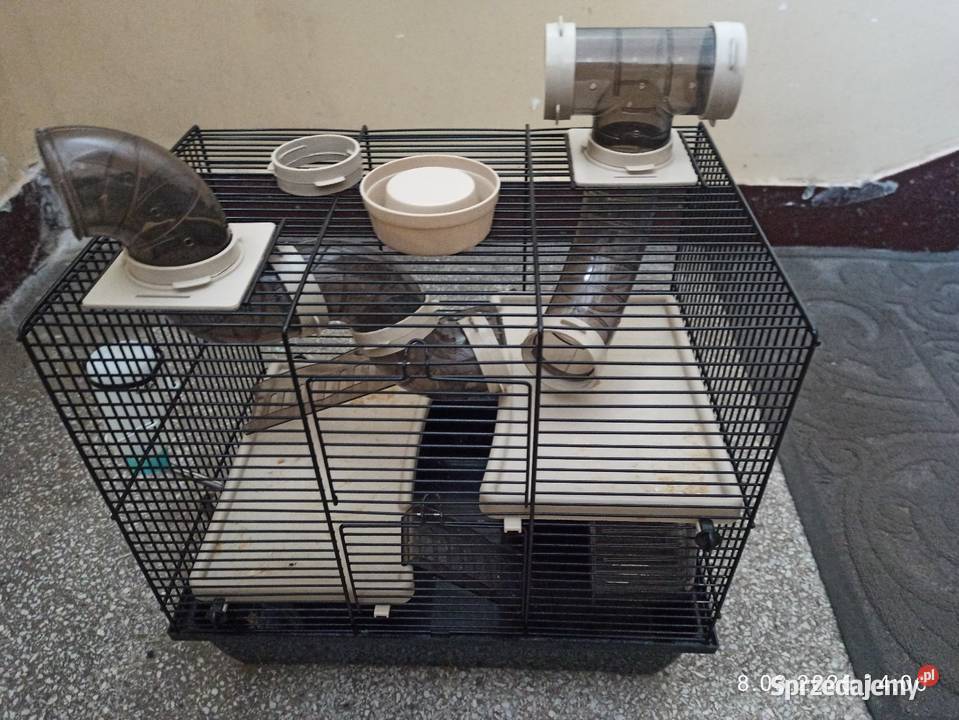 Klatka na gryzonie Koszalin