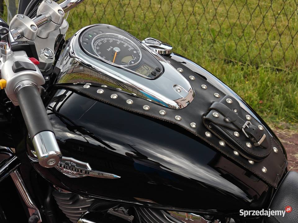 Suzuki C 800 Intruder