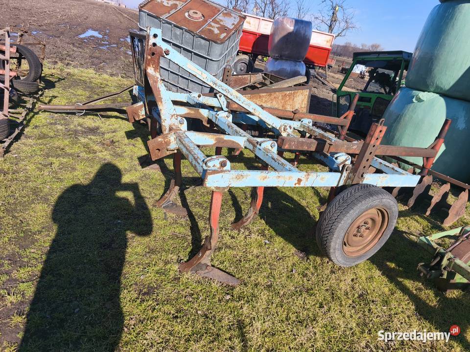 Sprzedam grubera wielkopolskie