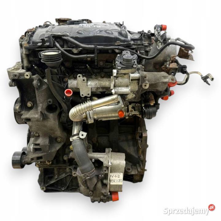 SILNIK M9R780 Opel Vivaro Renault Trafic Nissan Chełm