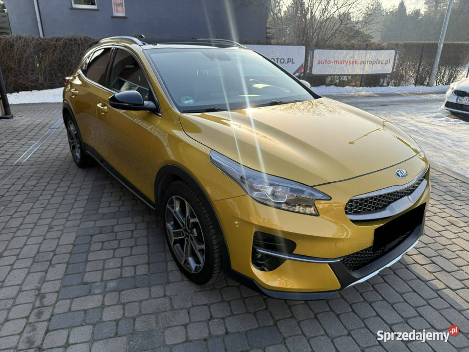 Kia XCeed Rezerwacja Orzech