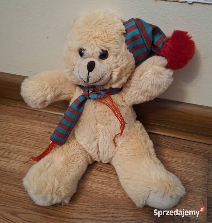 Maskotka miś pluszak 19 lubuskie Zielona Góra