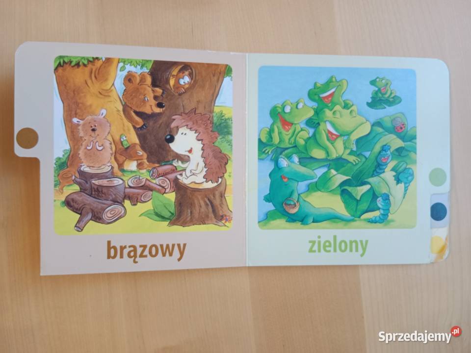 Książeczki Kolory Liczby zestaw wielkopolskie Poznań