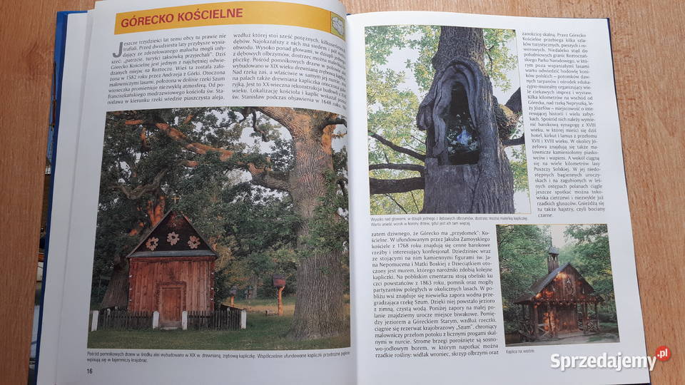 Magiczne miejsca Temat Polska śląskie Rybnik