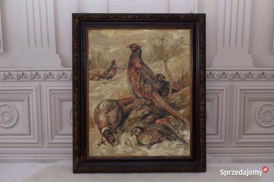 J Fałat Rodzina Bażantów Kuropatwy Las Natura małopolskie Kraków