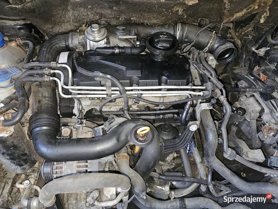 Silnik 19 TDI AVQ Łagów sprzedam