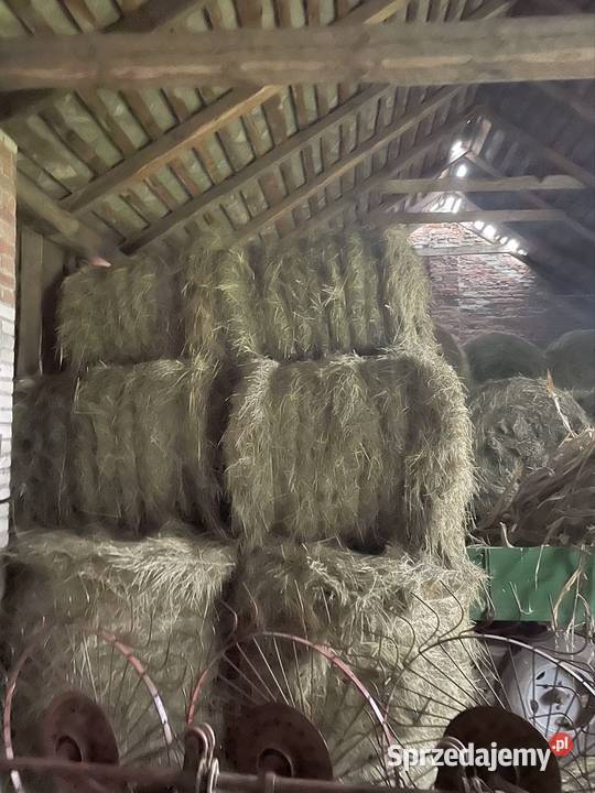 Sprzedam siano lubelskie Jarosławiec sprzedam