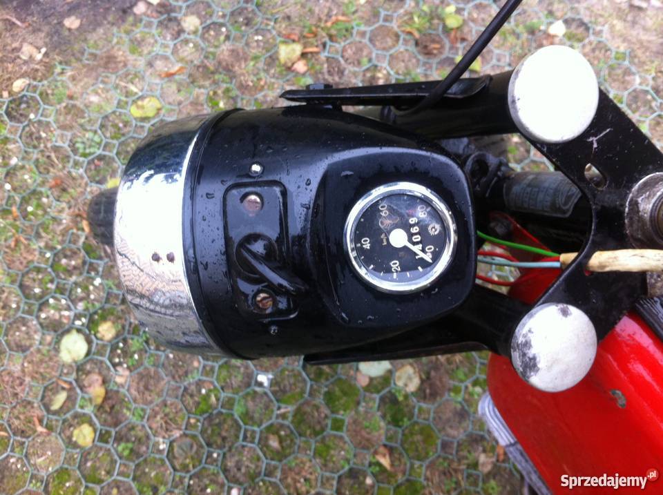 Jawka mustang tanio Pionki