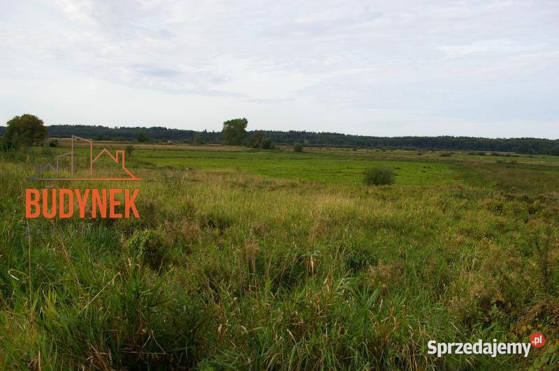 Działka budowlana Porzecze sprzedam