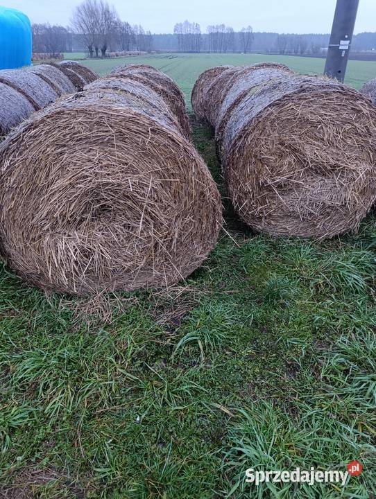 Sprzedam słome Pozostałe