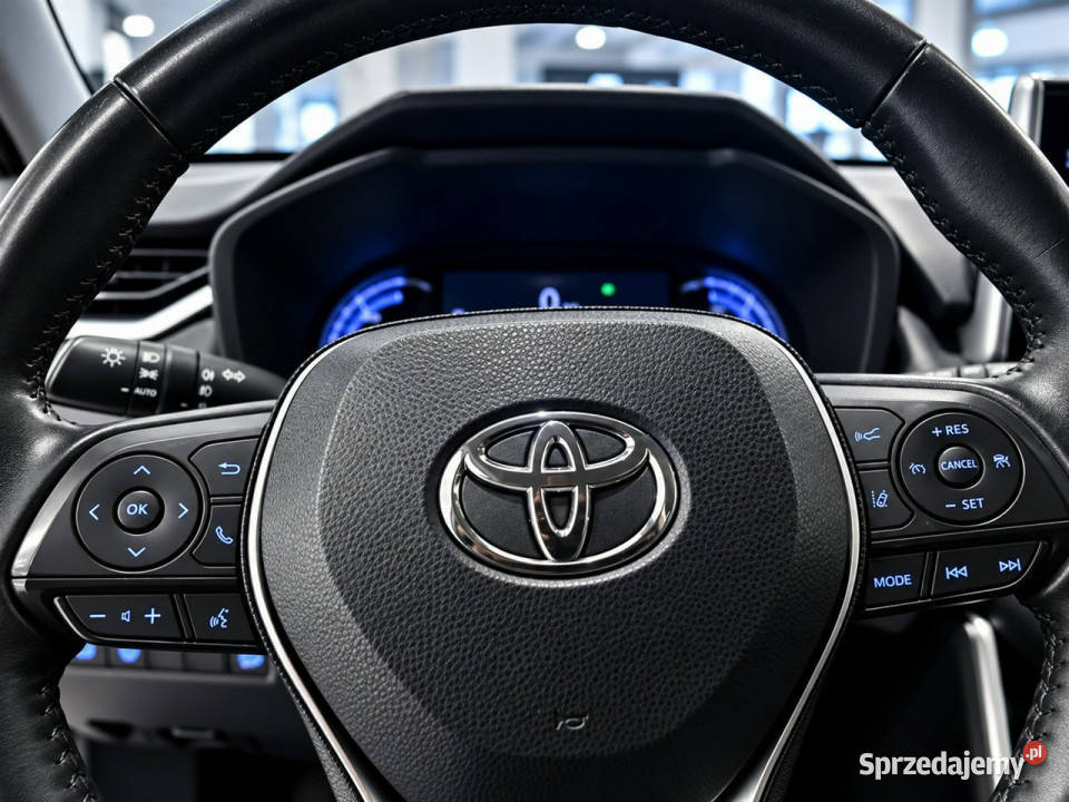 Toyota RAV4 V 2018 Sadlno