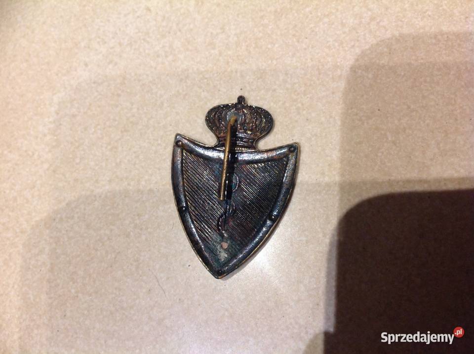 Odznaka Belgijskiego Korpusu Medycznego II wś lubuskie Nowa Sól