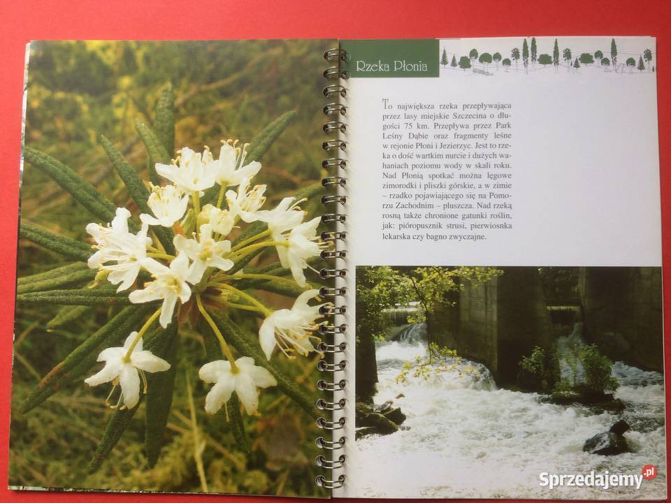 539 Puszcze Szczecińskie 2005 Szczecin