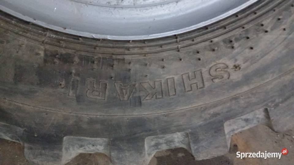 Koło felga opona 110020 Shikari skl800 koparka Brodnica
