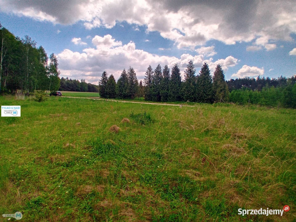 Grunt Gnojno 17100m2 Sprzedaż sprzedam