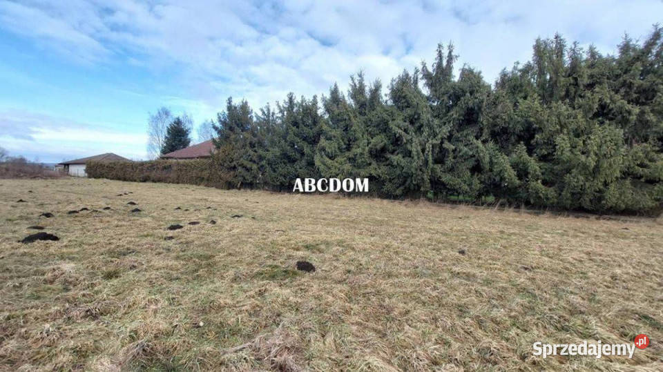Cholerzyn działki budowlane 165 ara gaz